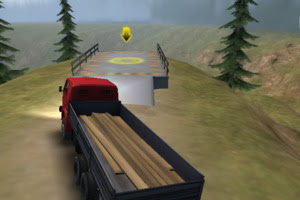 Truck Driver Crazy Road